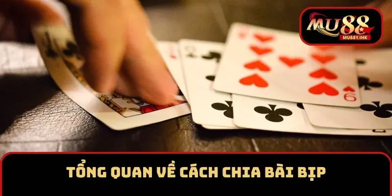 Tổng quan về cách chia bài bịp phổ biến