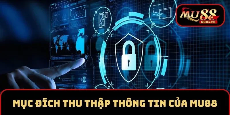 MU88 cam kết sử dụng thông tin với mục đích cải thiện dịch vụ