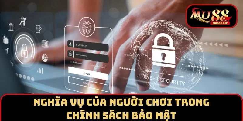 Nghĩa vụ thực hiện chính sách của hội viên