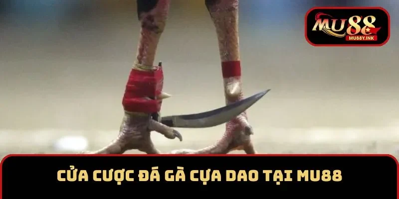 Cửa cược đá gà cựa dao tại MU88
