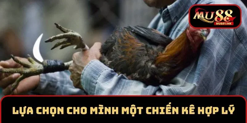 Lựa chọn cho mình một chiến kê hợp lý