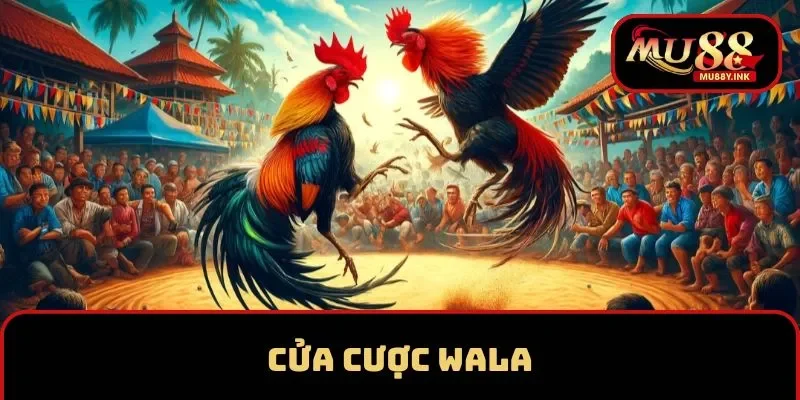 Cửa cược Wala tại sảnh đá gà MU88