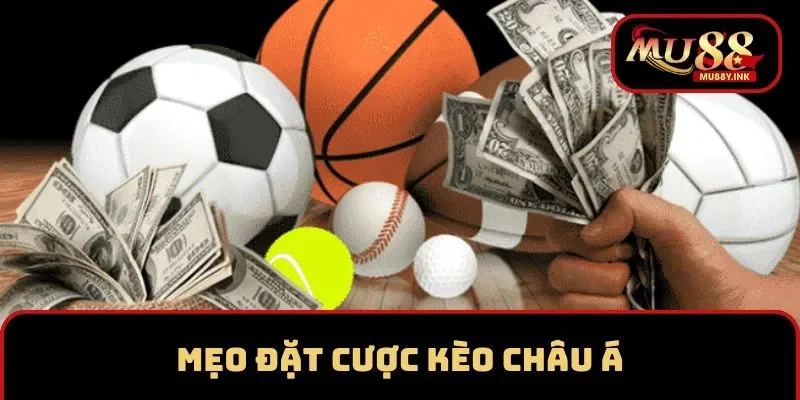 Hãy sát sao trận đấu lựa chọn đặt cược