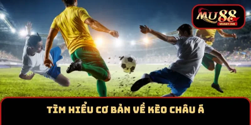 Tìm hiểu cơ bản về kèo Châu Á tại sân chơi MU88