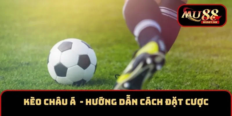Kèo Châu Á (Asian Handicap) - Hướng Dẫn Cách Đặt Cược
