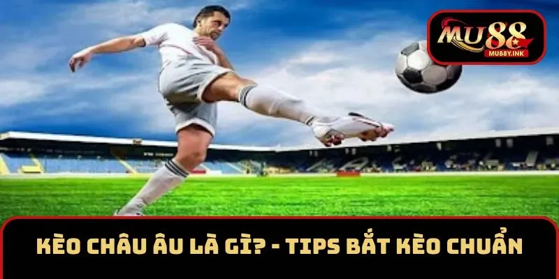 Kèo Châu Âu Là Gì? - Tips Bắt Kèo Bóng Đá Bao Chuẩn