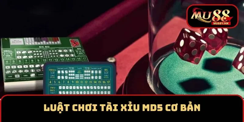 Luật chơi Tài xỉu MD5 cơ bản cần nắm rõ