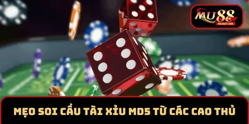 Mẹo soi cầu tài xỉu MD5 từ các cao thủ