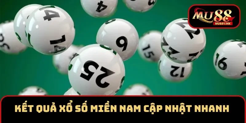 Kết quả xổ số miền Nam được cập nhật nhanh chóng